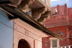 Phalodi - Zum Vergroessern klicken!